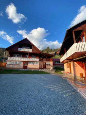 Pensiunea Daiana, Albac